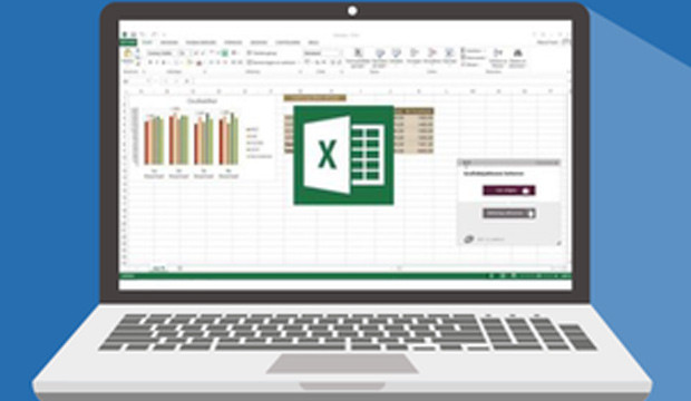 Preview image for training Excel 2016 Basic, Advanced & Expert