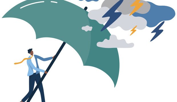 Vorschaubild für das Training Resilienz – Die innere Widerstandskraft stärken